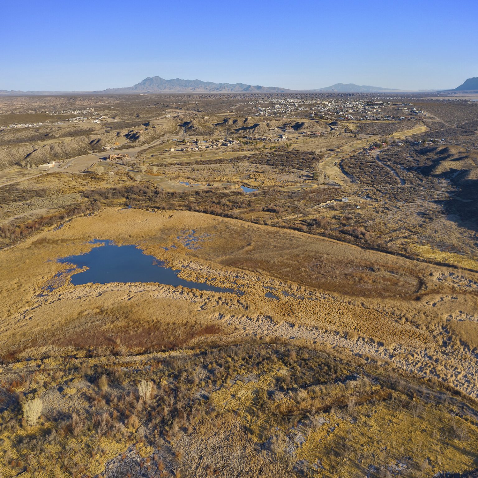 Premier Land Archives J.P. King