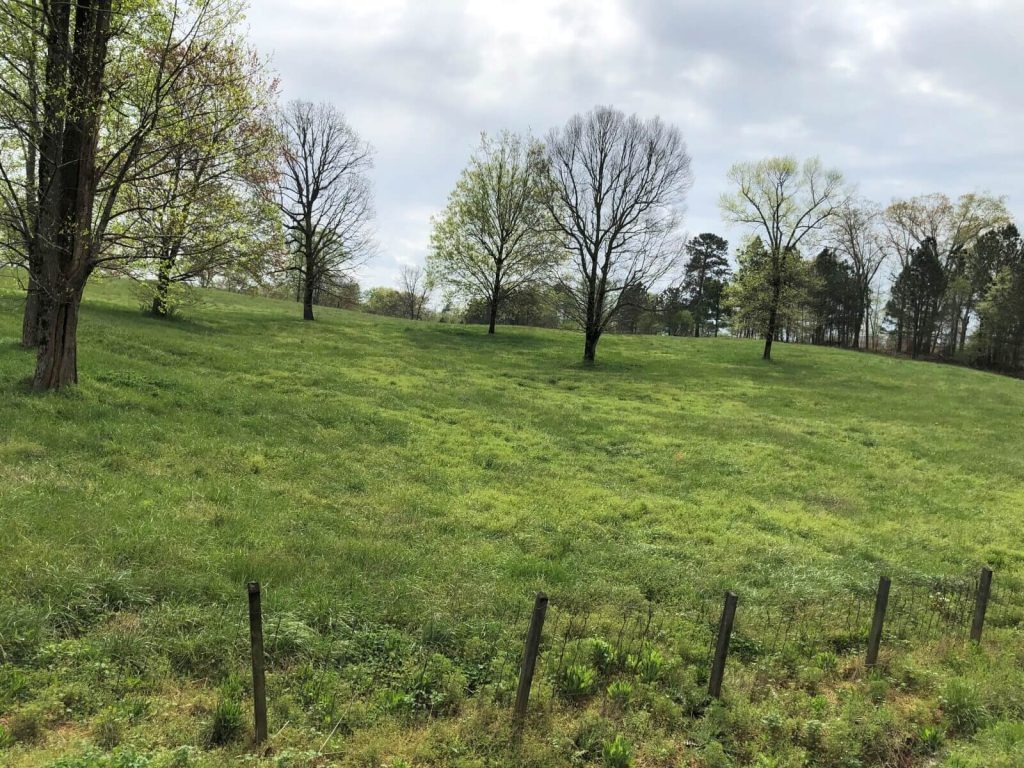 Crossroads Farms Complete SellOut! J.P. King