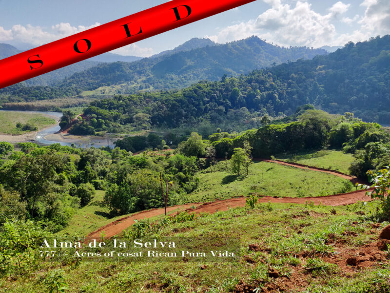 Stunning Costa Rican Ranch Sells At Auction! - J. P. King Auction Company